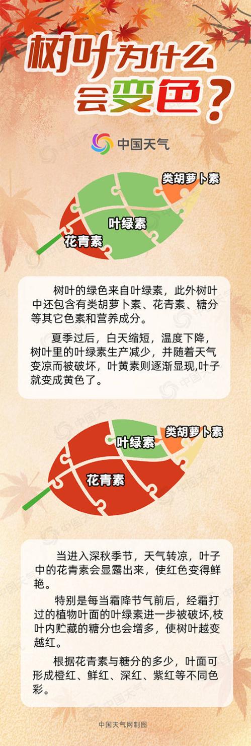 红叶季开启!2024全国赏红叶地图出炉 盘点十大推荐地独家秋色